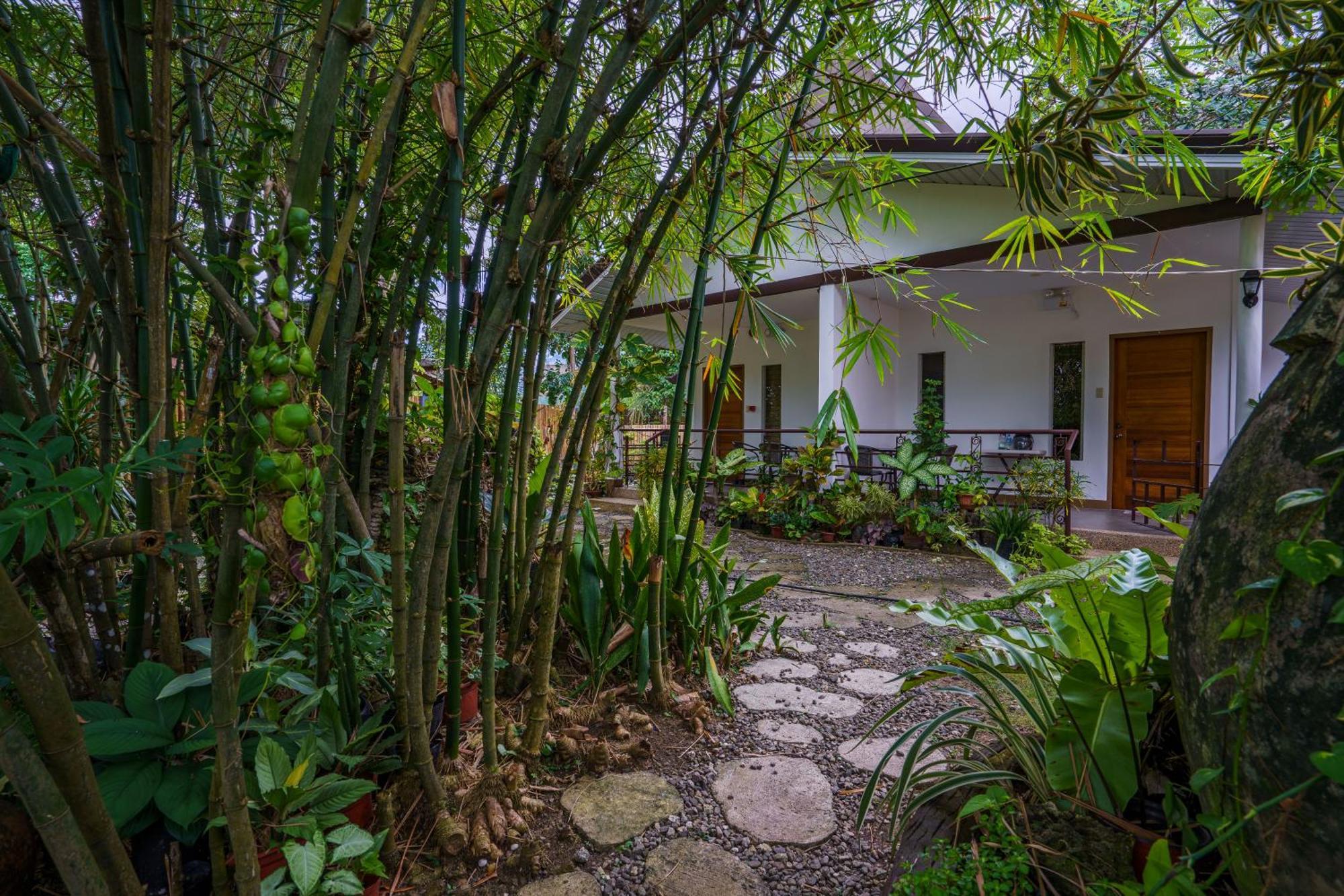 Weyh'S Studio #1 By The Ocean 100Mbps Panglao Exterior foto